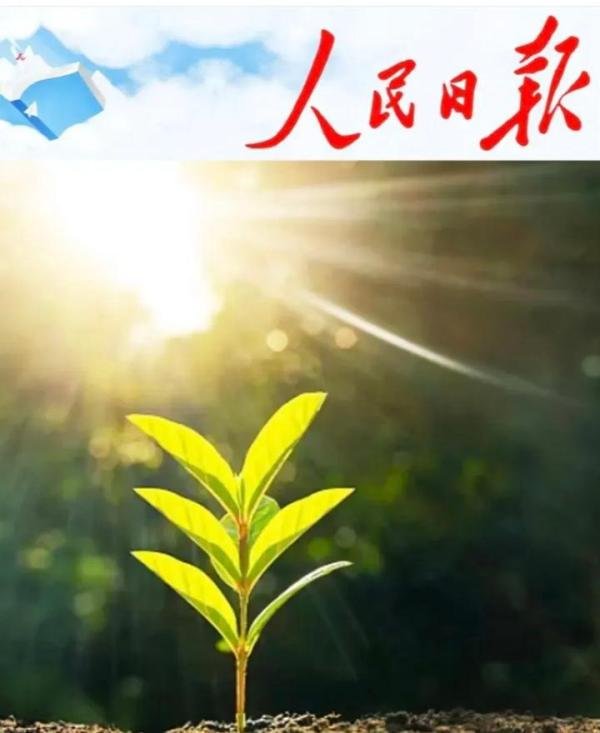 想干什么就去干。想，都是问题，干，才有答案！
