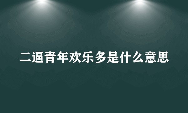 二逼青年欢乐多是什么意思