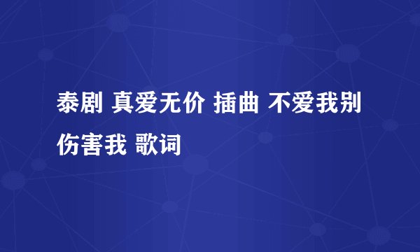 泰剧 真爱无价 插曲 不爱我别伤害我 歌词