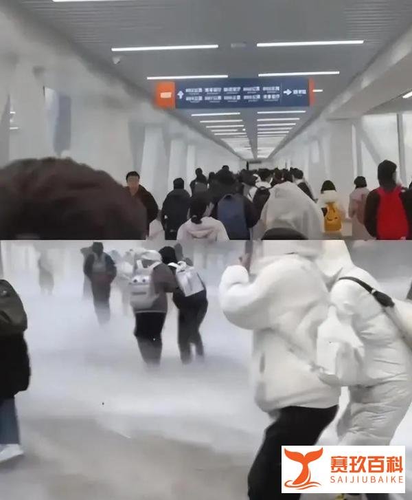 东北大学生正式确诊为“滑”妃，哈工大暖廊火出圈