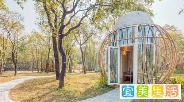 四川一窝蛇晒太阳，成了网红每天被数百人围观，为何蛇也晒太阳？