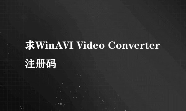 求WinAVI Video Converter注册码
