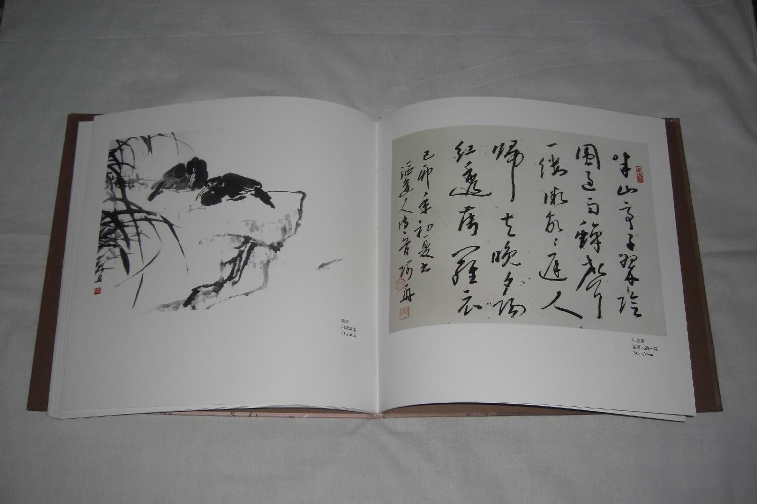 范坚的简介