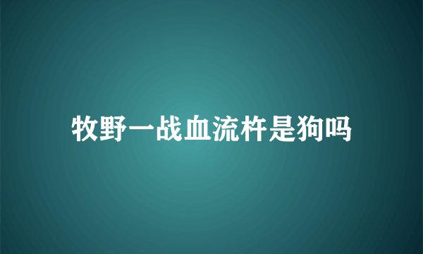 什么,金无足赤。