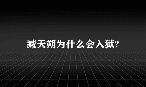 臧天朔为什么会入狱?