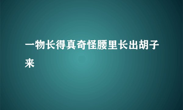 一物长得真奇怪腰里长出胡子来