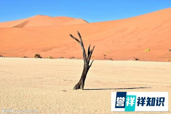 警方介入错换人生28年案调查:主角郭威将面对两种结果两个选择