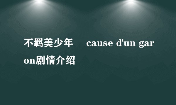 不羁美少年  cause d'un garon剧情介绍