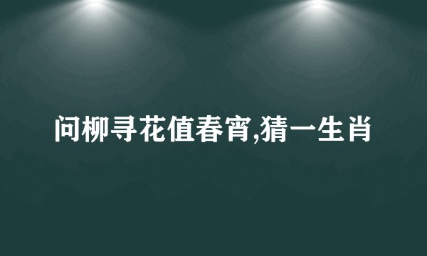 问柳寻花值春宵,猜一生肖