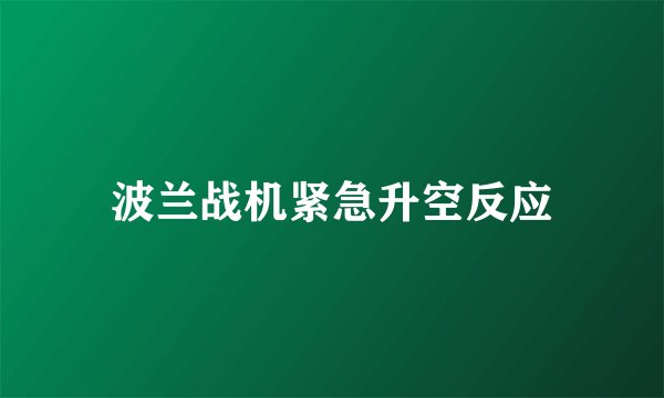 波兰战机紧急升空反应