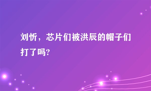 刘忻，芯片们被洪辰的帽子们打了吗?