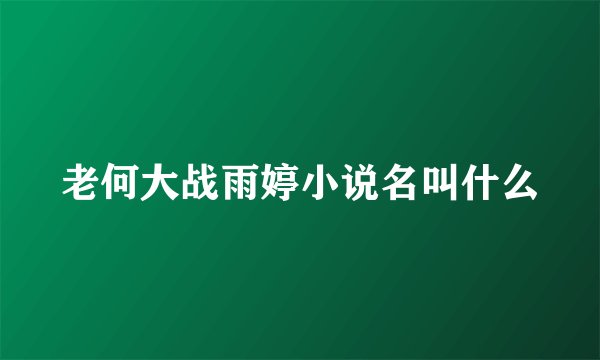 老何大战雨婷小说名叫什么