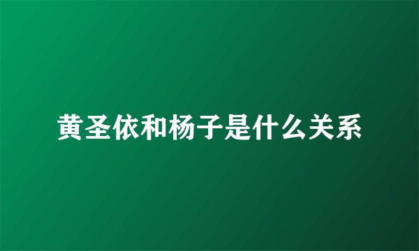 黄圣依和杨子是什么关系