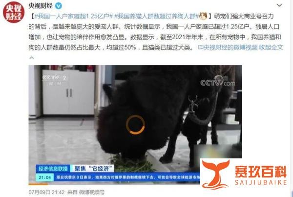 我国一人户家庭超1.25亿户其实就是1.25亿个光棍