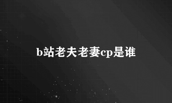 b站老夫老妻cp是谁