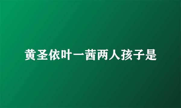 黄圣依叶一茜两人孩子是