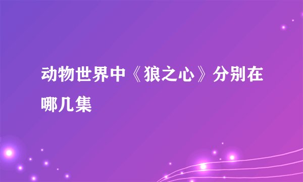 动物世界中《狼之心》分别在哪几集
