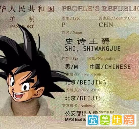 起名故事 | 看起来像假名字的名字