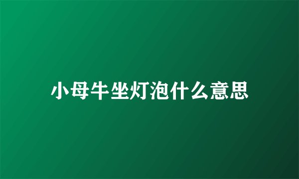 小母牛坐灯泡什么意思