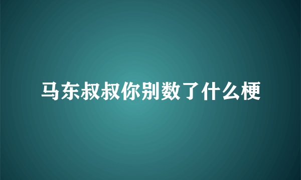 马东叔叔你别数了什么梗