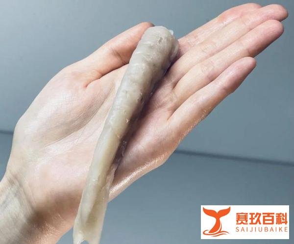韩国 CellMEAT 推出世界上全球首个细胞培养独岛虾原型