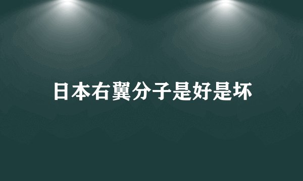 日本右翼分子是好是坏