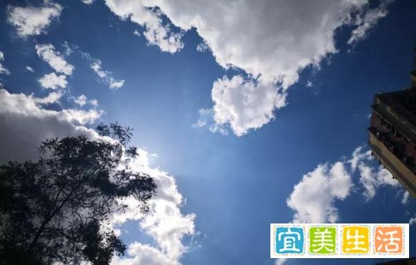 知识分子的责任