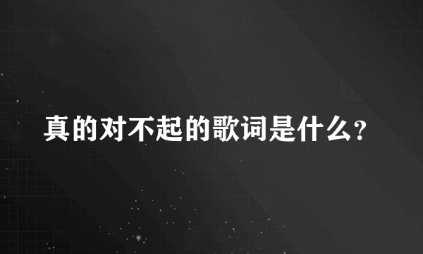真的对不起的歌词是什么？