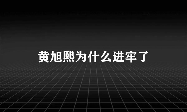 黄旭熙为什么进牢了