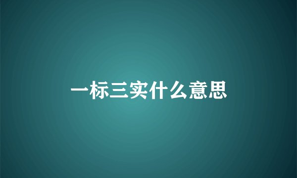 一标三实什么意思