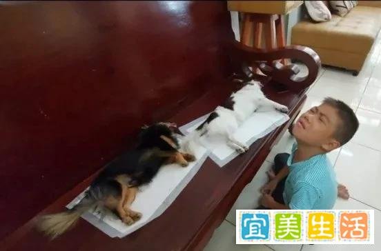 孩子发现狗狗死去后嚎啕大哭，父母却在一旁笑出声