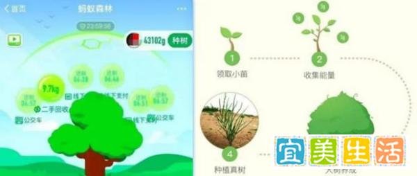 马云花巨资在沙漠里种树，承诺每年1亿棵，8年过去树怎么样了？
