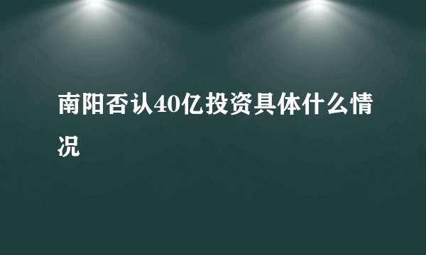 南阳否认40亿投资具体什么情况