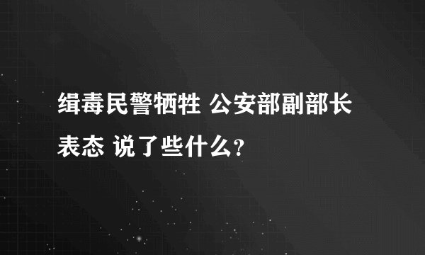 缉毒民警牺牲 公安部副部长表态 说了些什么？