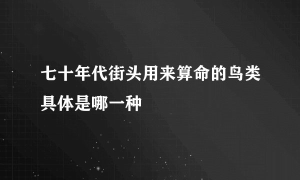 七十年代街头用来算命的鸟类具体是哪一种