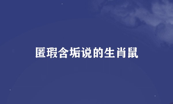 匿瑕含垢说的生肖鼠