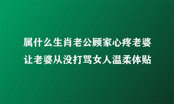 属什么生肖老公顾家心疼老婆让老婆从没打骂女人温柔体贴