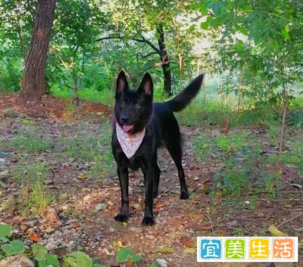 永远的帅妞光明(媞娅)