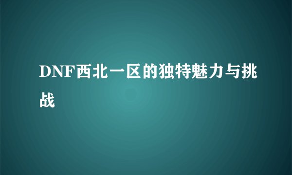 DNF西北一区的独特魅力与挑战