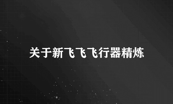 关于新飞飞飞行器精炼