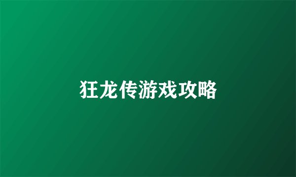 狂龙传游戏攻略