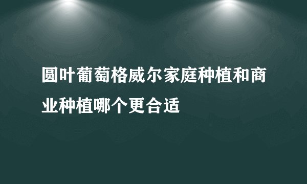 圆叶葡萄格威尔家庭种植和商业种植哪个更合适