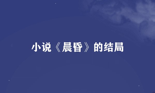 小说《晨昏》的结局