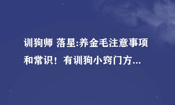训狗师 落星:养金毛注意事项和常识！有训狗小窍门方法更好？