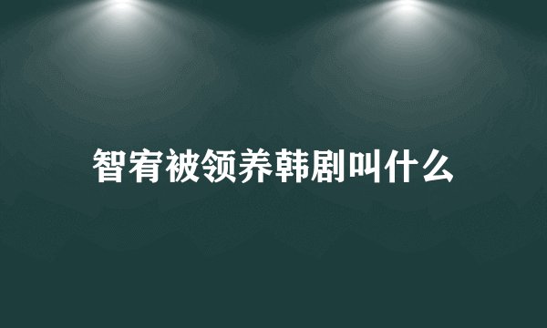 智宥被领养韩剧叫什么