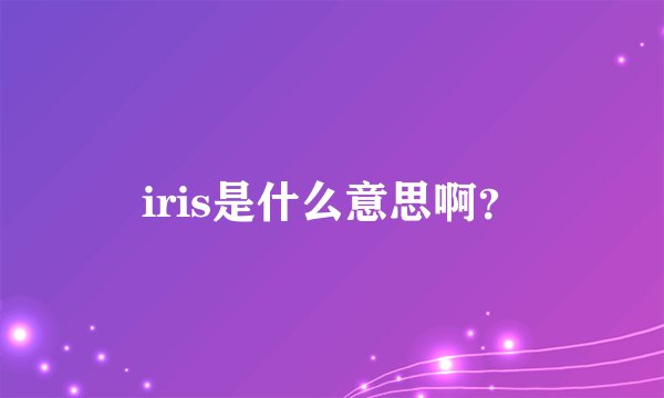 iris是什么意思啊？
