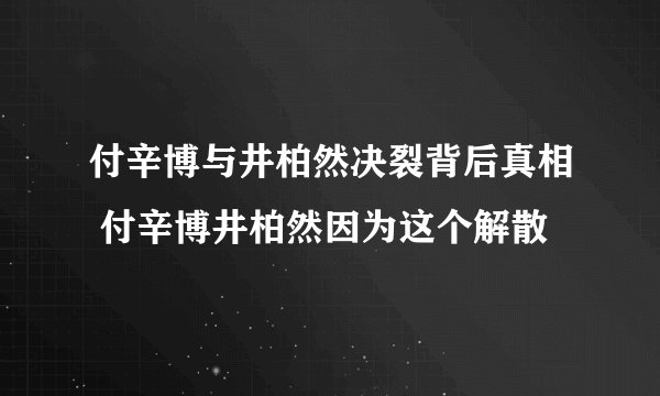 付辛博与井柏然决裂背后真相 付辛博井柏然因为这个解散