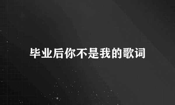 毕业后你不是我的歌词