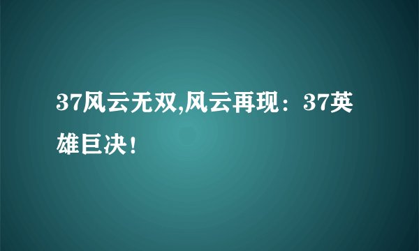 37风云无双,风云再现：37英雄巨决！