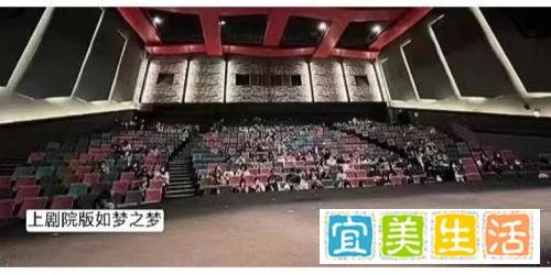 心疼倪妮！被美籍导演害惨了！